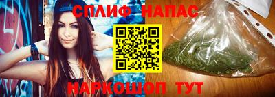 сатива Балахна
