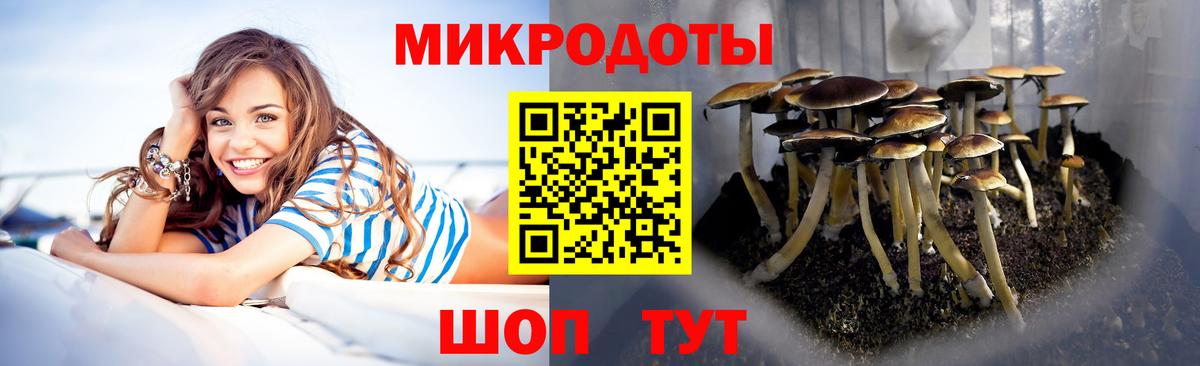 Городец  купить наркотики цена  Вход с VPN  Галлюциногенные грибы GOLDEN TEACHER 